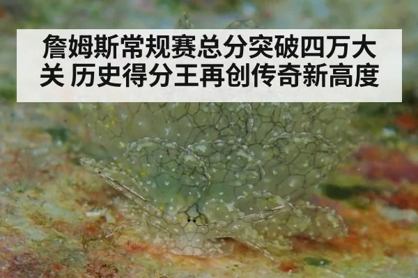 詹姆斯常规赛总分突破四万大关 历史得分王再创传奇新高度