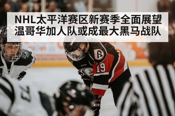 NHL太平洋赛区新赛季全面展望 温哥华加人队或成最大黑马战队